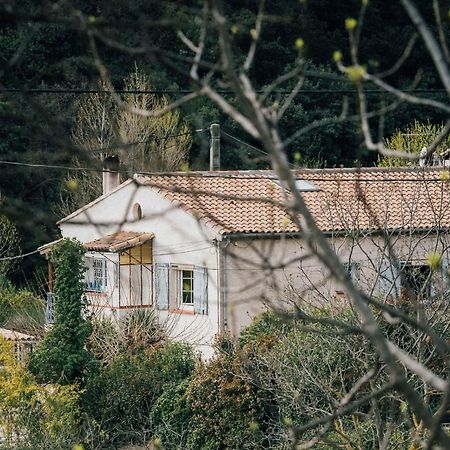 Maison D'Hotes Eco-Responsable Avec Piscine 6X12M Châteaudouble Екстериор снимка