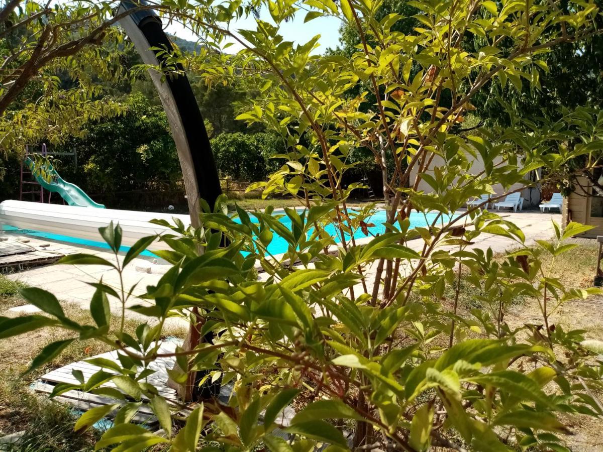 Maison D'Hotes Eco-Responsable Avec Piscine 6X12M Châteaudouble Екстериор снимка