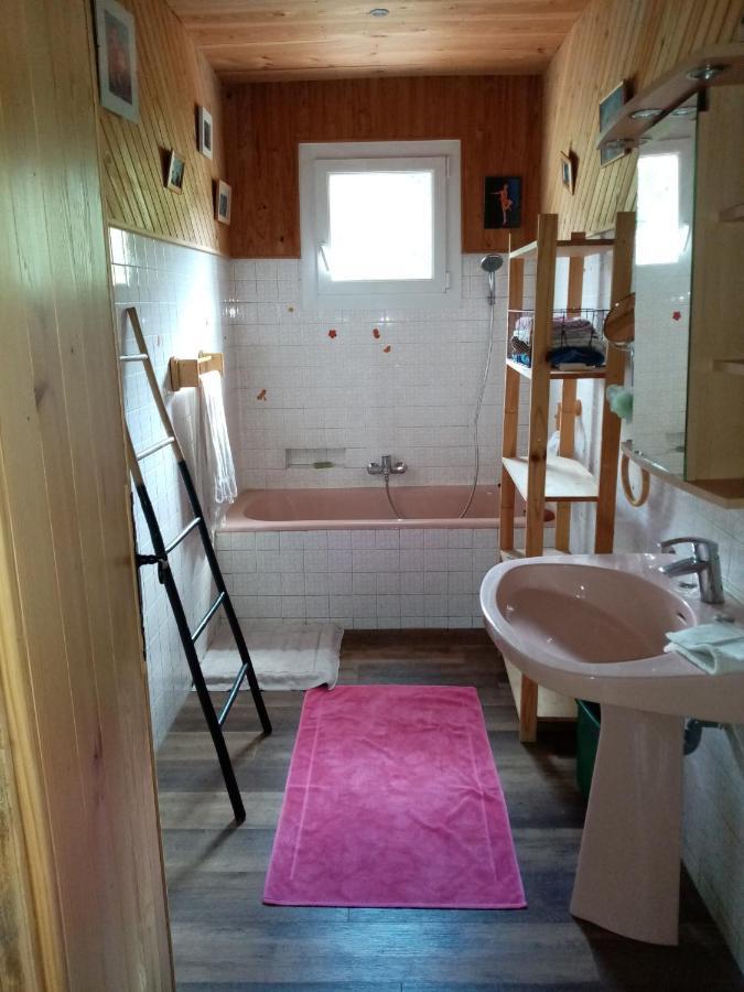 Maison D'Hotes Eco-Responsable Avec Piscine 6X12M Châteaudouble Екстериор снимка